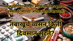 तंबाखू सोडणं अशक्य वाटतंय? डॉक्टर सांगतात अवघ्या काही दिवसांत व्यसन कसे सुटते?