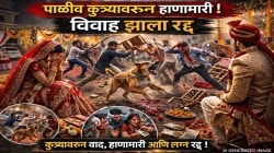 ‘कुत्र्याला हात लावला’ आणि लग्नच मोडलं! दोन कुटुंबांत तुफान हाणामारी, चार जखमी