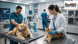 New veterinary infrastructure guidelines aim to ensure quality medical care for cattle dogs cats and other domesticated animals nationwide.