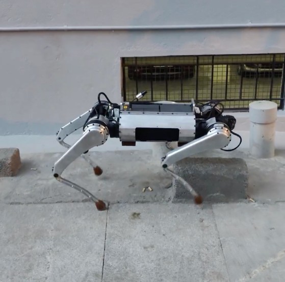 PARAM Robot Dog