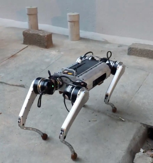 PARAM Robot Dog