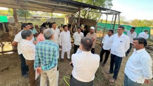 Cow death due to unknown disease in Ahilyanagar | अहिल्यानगर गाईंचा मृत्यू अज्ञात आजार | Parner Animal Husbandry | Maharashtra Farmers News