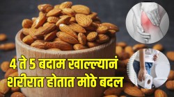 मल होईल मऊ, वाताचा त्रास राहील दूर; रात्री ४ ते ५ बदाम पाण्यात भिजवून ठेवा; शरीरात होतील मोठे बदल; डॉक्टरांनी दिली माहिती