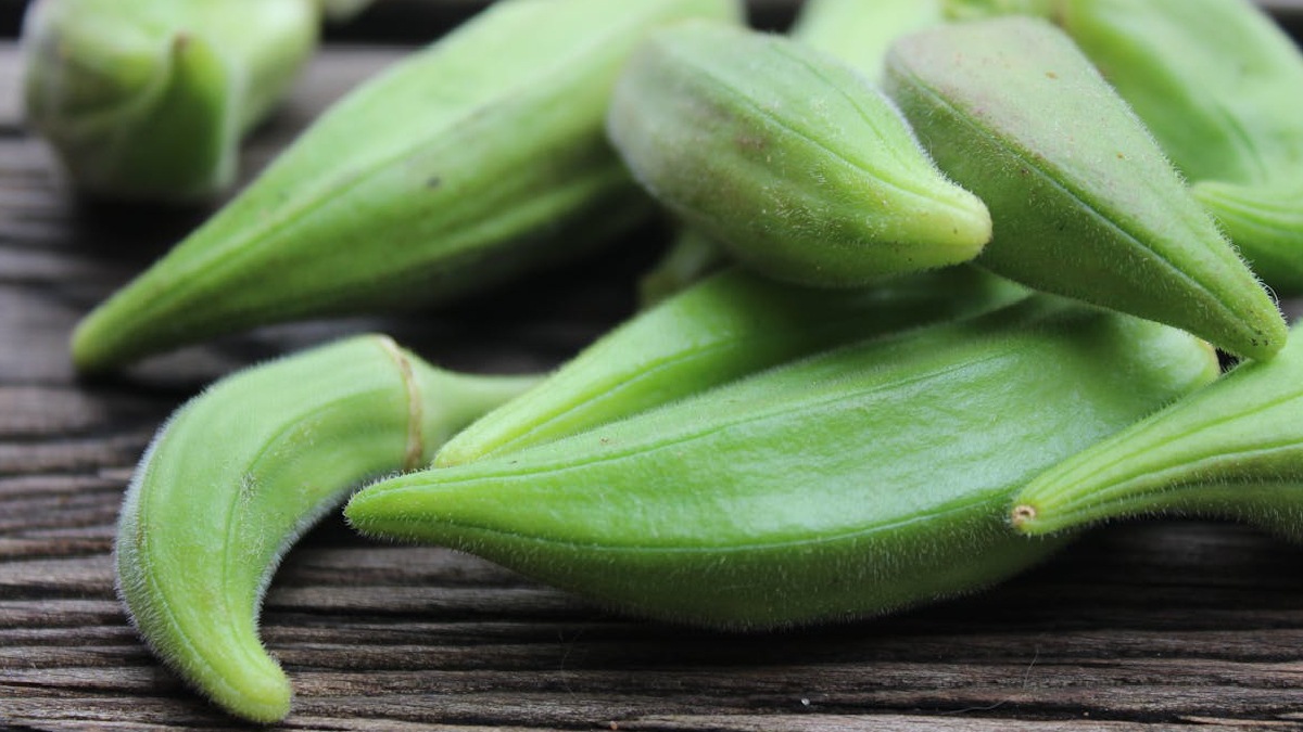 how to plant okra at home