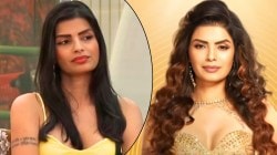 “खाण्याचे पदार्थ बाथरूममध्ये…”, सोनाली राऊतने Bigg Boss च्या घराबाहेर आल्यावर केली पोलखोल; म्हणाली, “मला इन्फेक्शन…”