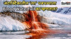 बर्फाळ प्रदेशात लाल रंगाचं पाणी येतं कुठून? अंटार्क्टिकातील त्या धबधब्याला Blood Waterfall का म्हणतात?