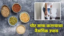 मल होईल मऊ अन् पोट होईल लगेच साफ; फक्त ‘या’ ३ प्रकारच्या बिया खायला सुरुवात करा, आतड्यांमध्ये साचलेली घाण बाहेर पडेल