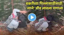 बकरीच्या पिल्लासाठी ‘त्याने’ जीव लावला पणाला; ४० फूट खोल विहिरीत उतरवलं चिमुकल्याला; गावकऱ्यांचा VIDEO व्हायरल