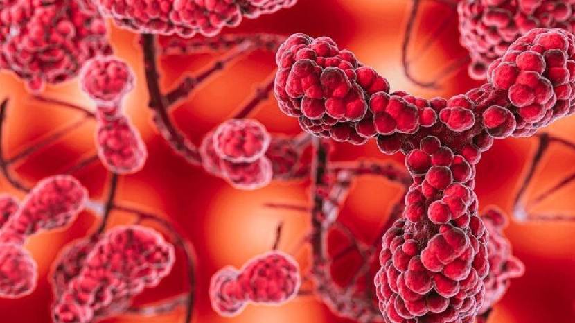 Healthy food will reduce chances of cancer