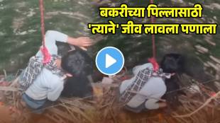 boy-bravely-rescued-goat