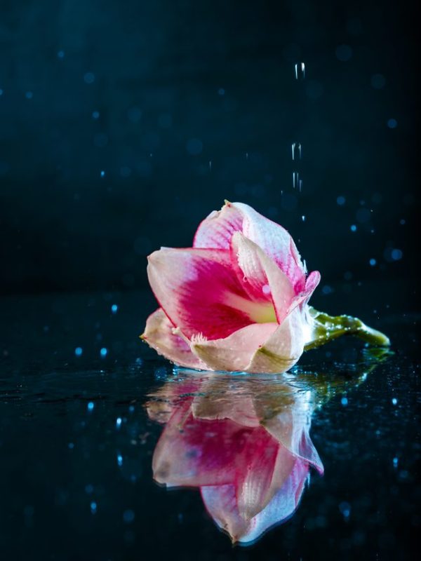 Horoscope Today Monday 16 February 2026