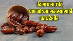 फक्त दोन खजूर शरीराला देईल ऊर्जा; रमजानमध्ये उपवास सोडताना खजूर का खातात? डॉक्टरांनी काय सांगितलं वाचा…