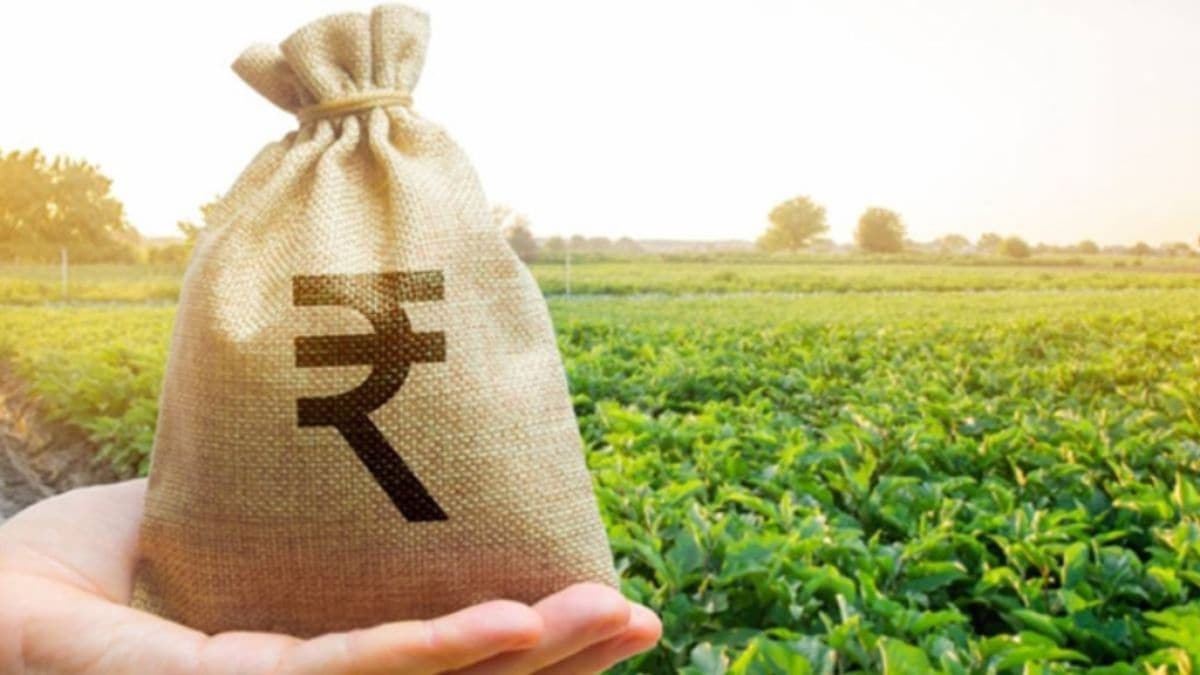 Maharashtra speeds up farm loan waiver process; banks told to upload pending loan data by February 15