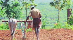 पहिली बाजू: ‘एनए’मुक्ततेतून भ्रष्टाचाराला मूठमाती