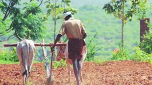 53-lakh-maharashtra-farmers-await-loan-waiver-6-lakh-still-deprived-from-2017-scheme