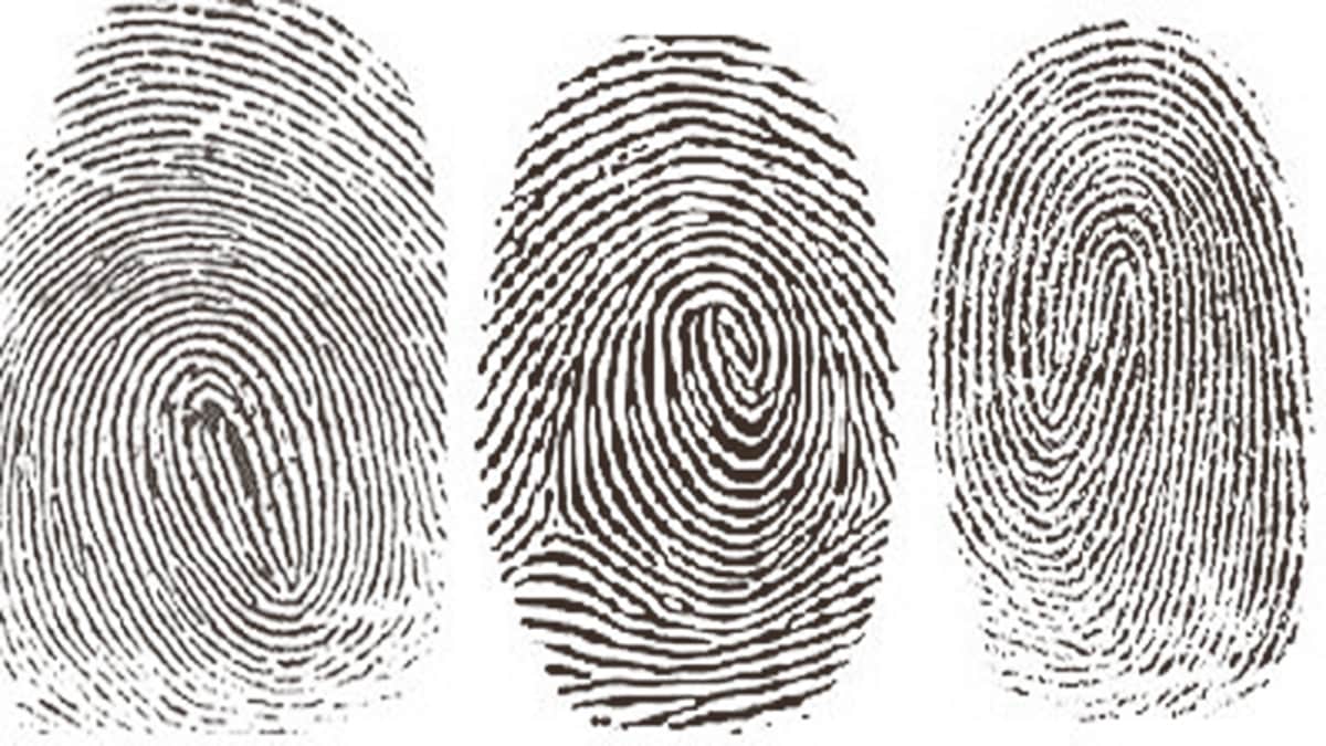 Why fingerprints are unique, Science of fingerprints, Fingerprints in identical twins, Human biology facts, How fingerprints form in womb, Fingerprint ridges and patterns, Forensic science basics, Biological uniqueness of humans, बोटांचे ठसे वेगळे का असतात, फिंगरप्रिंट्स मधील विज्ञान, मानवी शरीराची वैशिष्ट्ये,