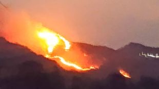 Massive forest fire in Sahyadri hills near Karad destroys vegetation and wildlife habitat