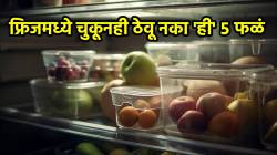 फ्रिजमध्ये चुकूनही ठेवू नका ‘ही’ ५ फळं, तुम्हीही ‘ही’ चूक करत असाल तर थांबा, जाणून घ्या साठवण्याची योग्य पद्धत
