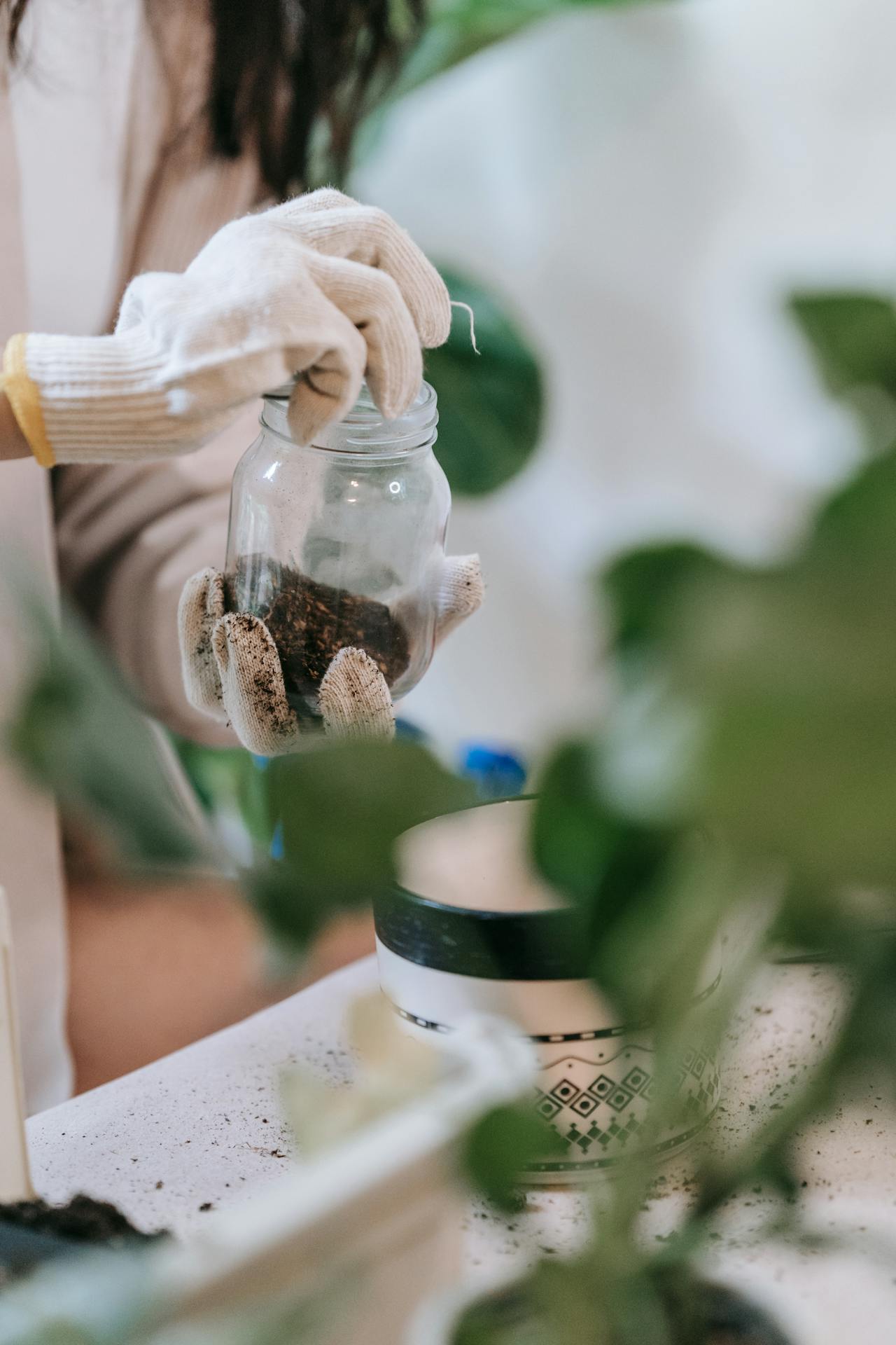 onion for growing rose