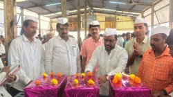 सांगलीत नवीन हंगामातील बेदाण्यास किलोला ४०१ रुपयांचा भाव