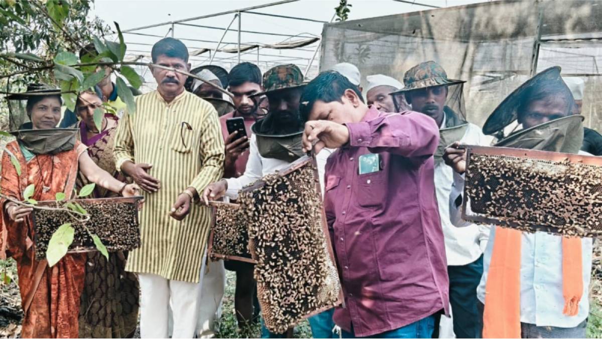 Madhache Gaon scheme Nashik