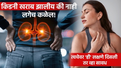 किडनी खराब झालीय की नाही लगेच कळेल! त्वचेवर ‘ही’ लक्षणे दिसली तर व्हा सावध