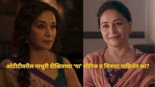 maa behen mrs deshpande ma jama and the fame game watch these series films of madhuri dixit