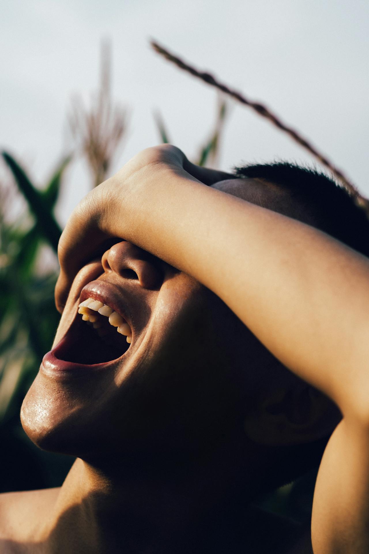 benefits of cardomom