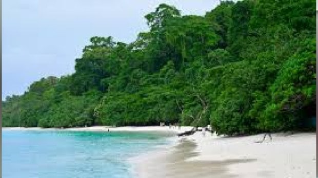 Green Tribunal approves Great Nicobar