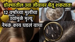 डोक्यातील उवा जीवावर बेतू शकतात! १२ वर्षाच्या मुलीचा उवांमुळे मृत्यू, नेमकं काय घडलं वाचा; तज्ज्ञांनी दिला सल्ला…