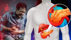 स्वादुपिंडाच्या कॅन्सरची सुरूवातीला लक्षणे दिसत नाहीत! पण कसा ओळखाल जाणून घ्या, डॉक्टरांनीच दिली माहिती…