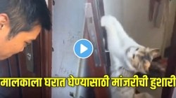 मालकाला घरात घेण्यासाठी मांजरीची हुशारी; हॅण्डलला लटकली मांजर अन्… VIDEO पाहून व्हाल शॉक
