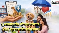 ३ लाखांपर्यंत मोफत उपचार; आता कुत्र्याचाही मेडीक्लेम? ‘पेट इन्शुरन्स’ असणं किती फायद्याचं?