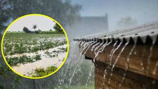 Unseasonal rain in Nagpur and Bhandara | नागपूर आणि भंडाऱ्यात अवकाळी पाऊस, शेतीचे नुकसान