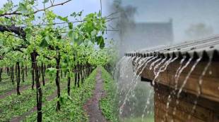 Maharashtra Weather Update | पावसाचा अंदाज | Rain alert Vidarbha Madhya Maharashtra | Farmers crop damage news