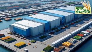 Konkan Mango Export Jaigarh Port news in marathi