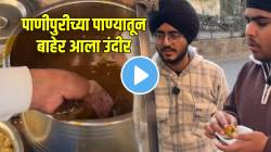 बापरे! चक्क पाणीपुरीच्या पाण्यातून बाहेर आला उंदीर; खाणाऱ्यानं पाहिलं अन्…VIDEO पाहून धक्का बसेल