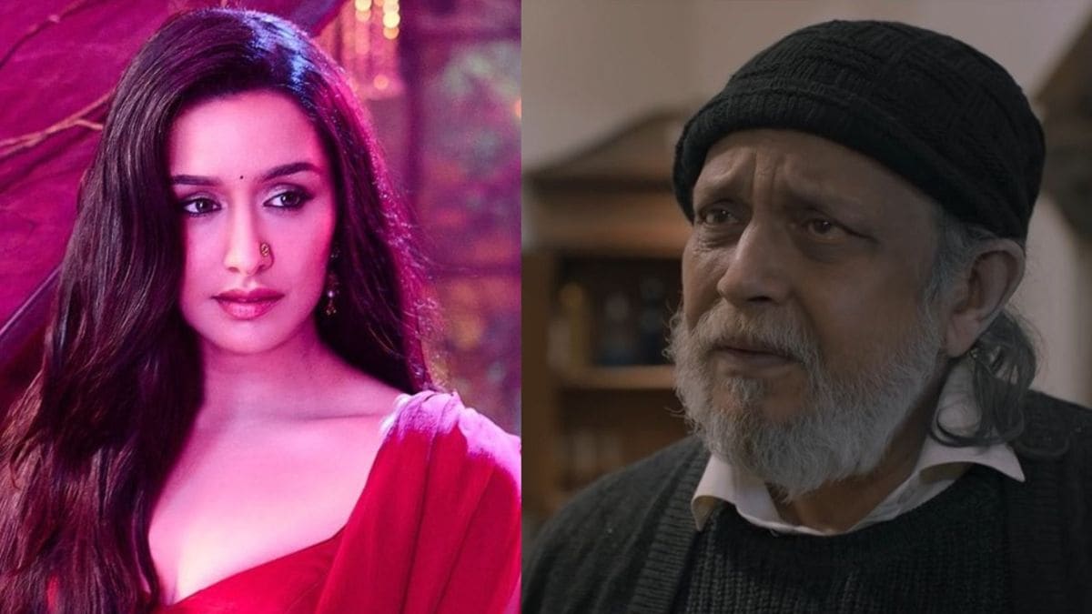 shraddha kapoor stree to aamir khan secret superstar these low budget movies created a big bang