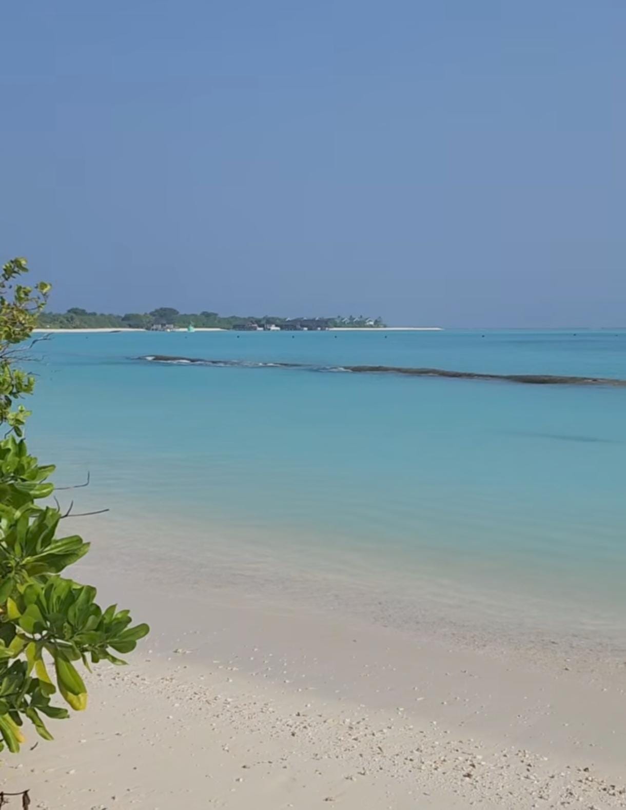 siddharth khirid went to maldives for honeymoon trip with wife