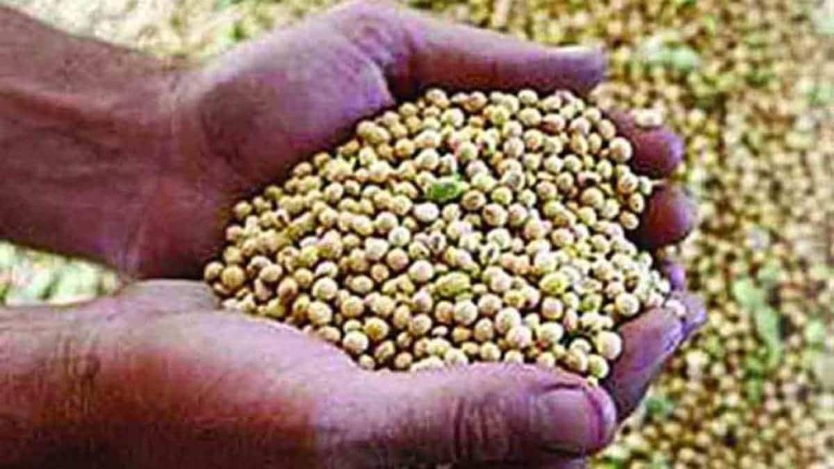 sudden surge in soybean prices