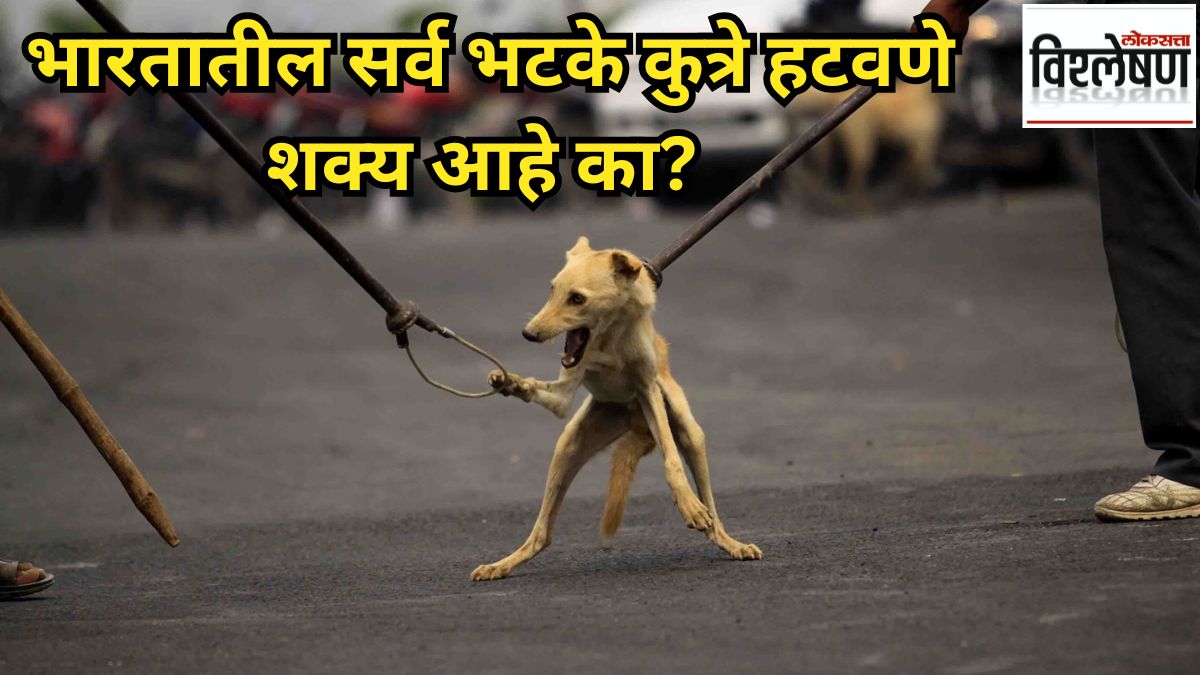 supreme court on street dogs
