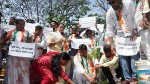 NCP alleges illegal felling of 300 trees without geo-tagging for Thane’s Anand Nagar–Saket road project