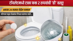 टॉयलेटमध्ये टाका फक्त २ रुपयांची ‘ही’ वस्तू! अवघ्या २४ तासात होईल कमाल, परिणाम पाहून डोळ्यांवर विश्वास बसणार नाही…