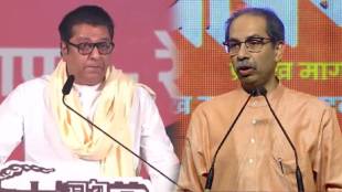 Thackeray brothers political alliance update