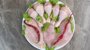 Bird Flu Precaution: cleaning raw chicken safely at home to prevent bird flu and foodborne infections