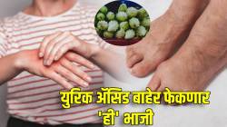 किडनीतुन युरिक अ‍ॅसिड बाहेर फेकणार ‘ही’ भाजी; ‘ही’ लक्षणे दिसल्यास ‘या’ पद्धतीने करा सेवन