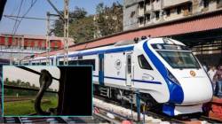 रेल्वेगाडी की सर्पगाडी? गोव्यात रेल्वेमध्ये किंग कोब्रा का दिसू लागलेत?