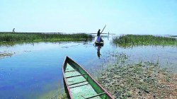 पाणथळ संवर्धनाचे वास्तव