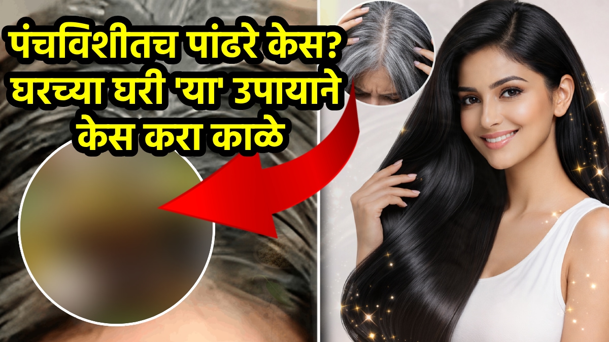 White hair solution at home how to turn white hair black at early age herbal hair dye for white hair