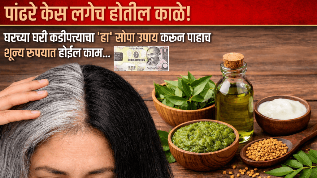 white hair solution at home ayurvedic upay for white hairs with curry leaves White hair to black naturally permanent white hair solution at home ayurvedic upay for white hairs with curry leaves White hair to black naturally permanent